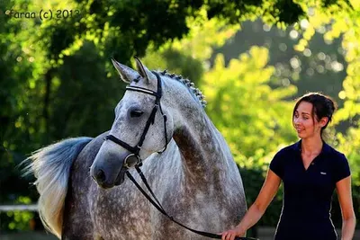 Gabinet Weterynaryjny dla koni EquiCare Karolina Kaczmarek